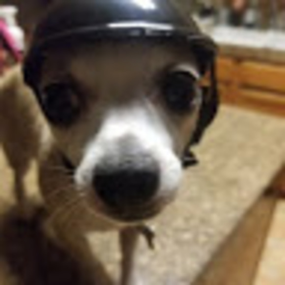 Meet your Posher, Ivonne - Picture 1 of 1